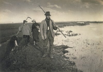 Cutting the Gladdon, Life and Landscape on the Norfolk Broads, c.1886 by Peter Emerson und Thomas Goodall